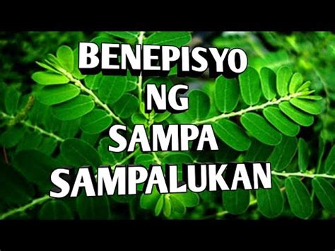 sampa sampalukan in bisaya|sampa.